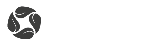 Logo Kiana Analytics
